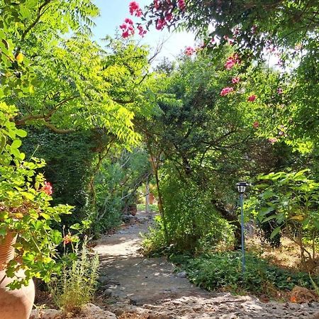 Villa Adama Clil Exteriér fotografie