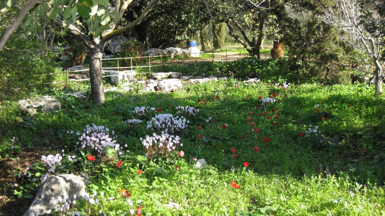 Villa Adama Clil Exteriér fotografie